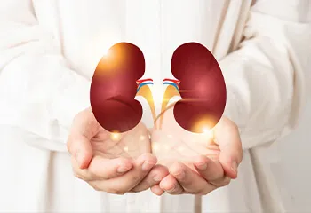 Kidney